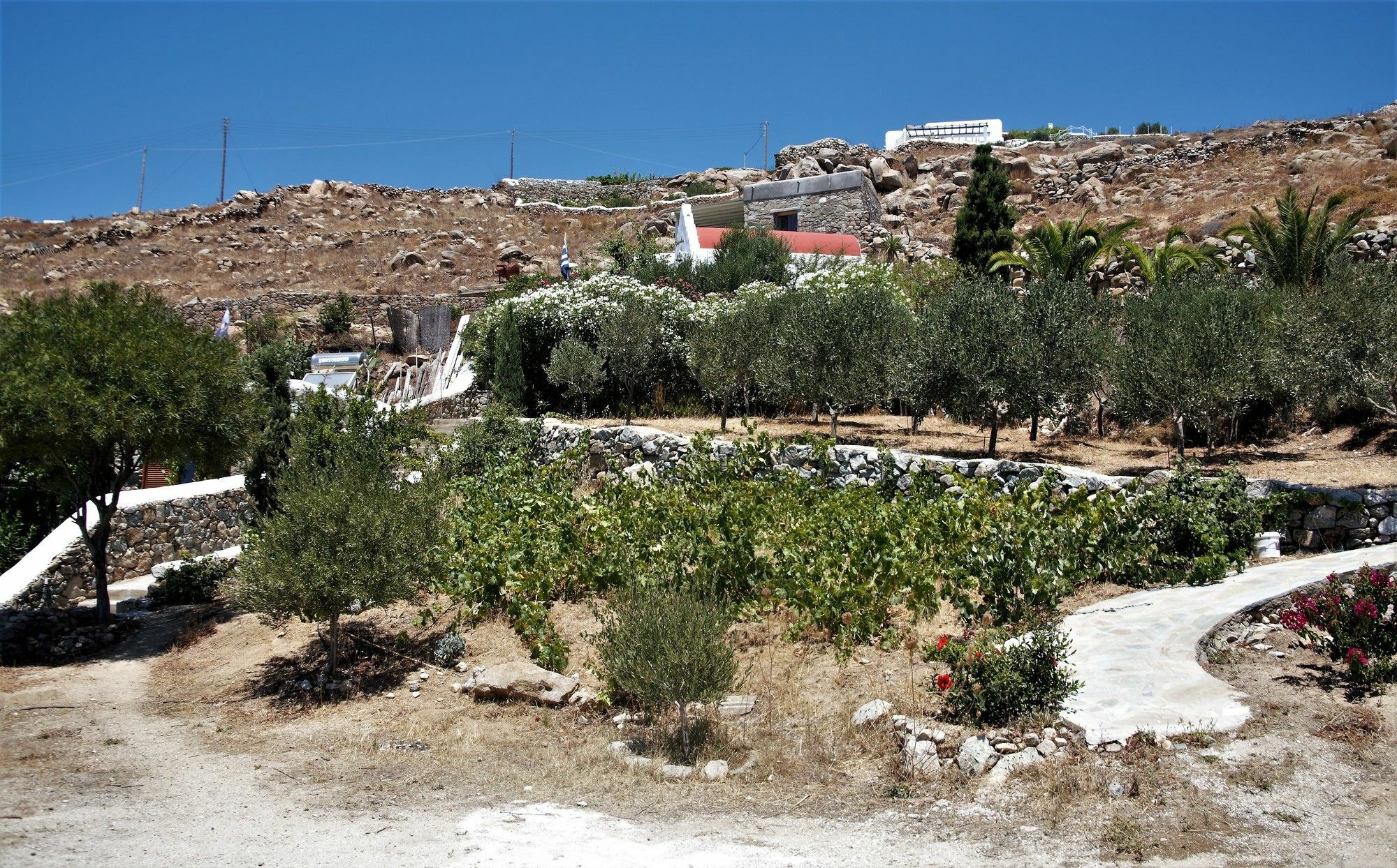 Mykonos Moussa Agios Ioannis Diakoftis Exterior foto